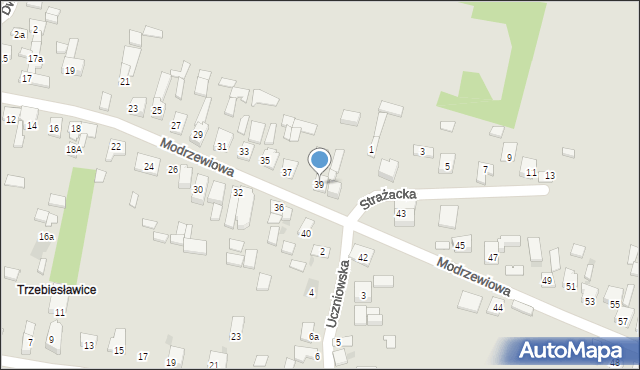 Dąbrowa Górnicza, Modrzewiowa, 39, mapa Dąbrowa Górnicza