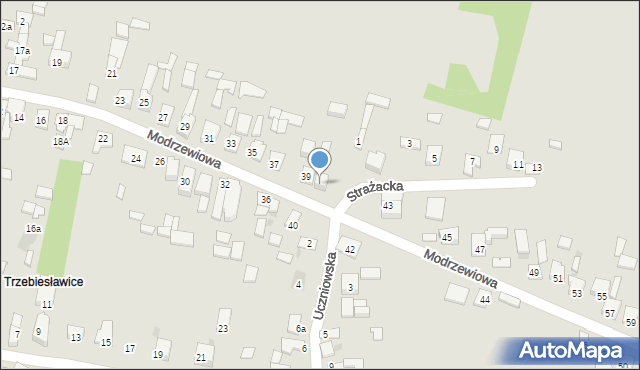 Dąbrowa Górnicza, Modrzewiowa, 41, mapa Dąbrowa Górnicza