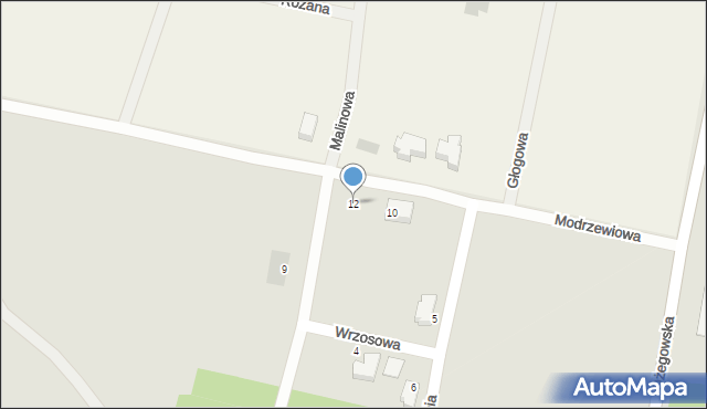 Działoszyn, Modrzewiowa, 12, mapa Działoszyn