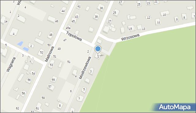 Dziemionna, Modrzewiowa, 1, mapa Dziemionna