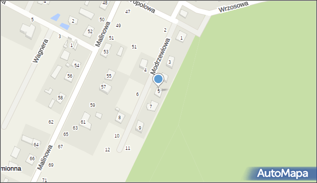 Dziemionna, Modrzewiowa, 5, mapa Dziemionna