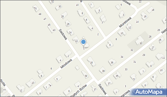 Kowale, Morelowa, 1, mapa Kowale