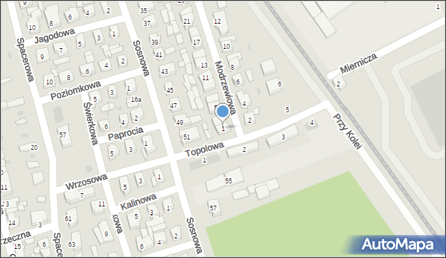 Leszno, Modrzewiowa, 1, mapa Leszno