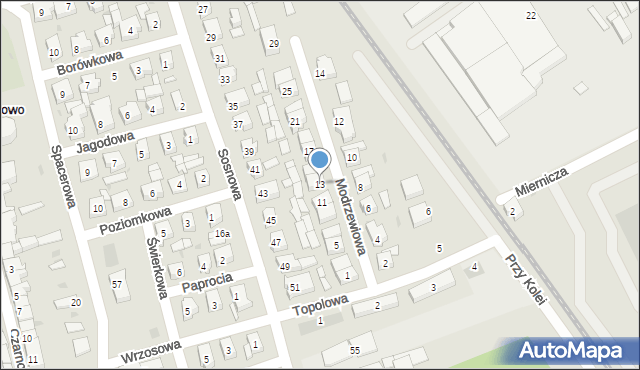 Leszno, Modrzewiowa, 13, mapa Leszno