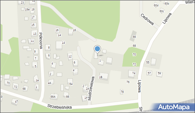 Luzino, Modrzewiowa, 8, mapa Luzino