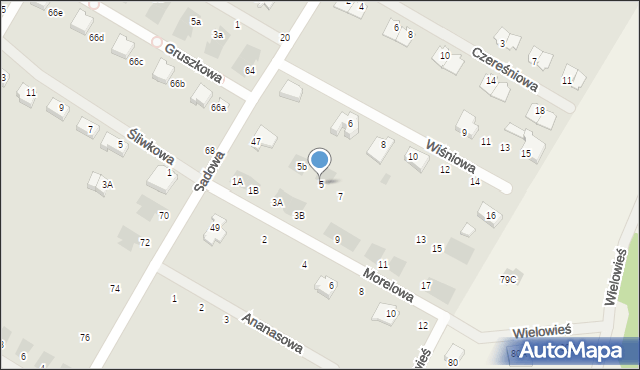 Międzychód, Morelowa, 5, mapa Międzychód