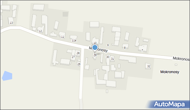 Mokronosy, Mokronosy, 29, mapa Mokronosy
