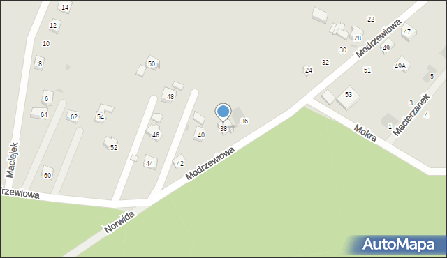 Orzesze, Modrzewiowa, 38, mapa Orzesze