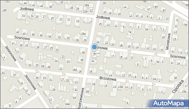 Poznań, Modrzewiowa, 37, mapa Poznania