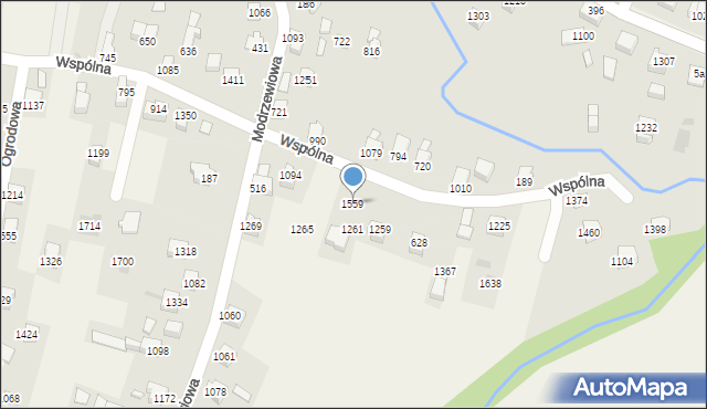 Radziechowy, Modrzewiowa, 1559, mapa Radziechowy