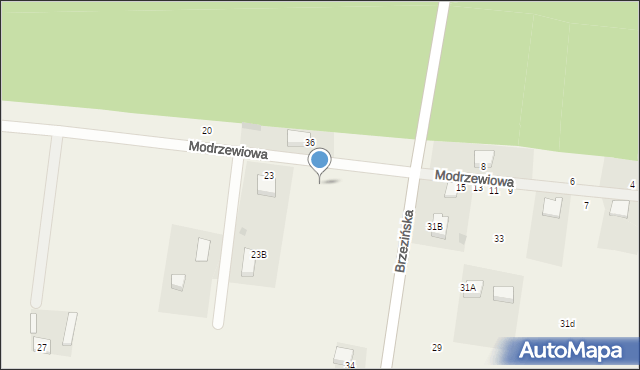 Rokiciny-Kolonia, Modrzewiowa, 21, mapa Rokiciny-Kolonia