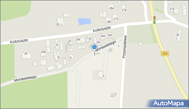 Rydzyna, Morawskiego Franciszka, 3, mapa Rydzyna