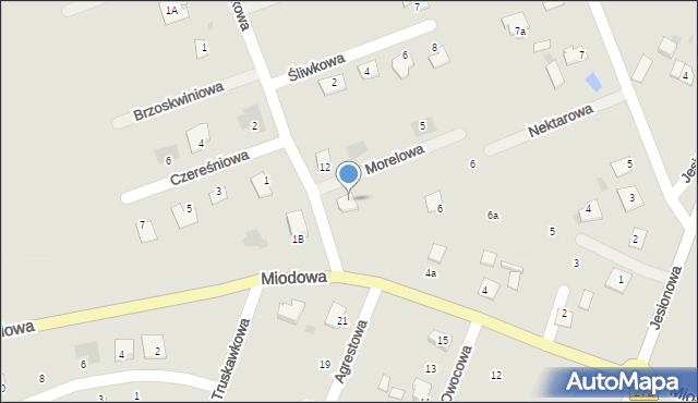 Świecie, Morelowa, 2, mapa Świecie