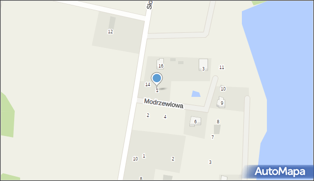 Trzcińsk, Modrzewiowa, 1, mapa Trzcińsk