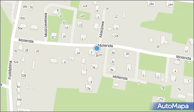 Tuszyn, Molenda, 1b, mapa Tuszyn