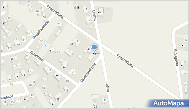 Wola Moszczenicka, Modrzewiowa, 53, mapa Wola Moszczenicka