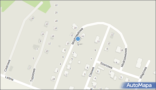 Wyrzysk, Modrzewiowa, 9, mapa Wyrzysk