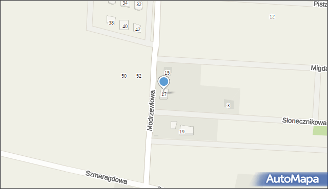 Żychlin, Modrzewiowa, 17, mapa Żychlin