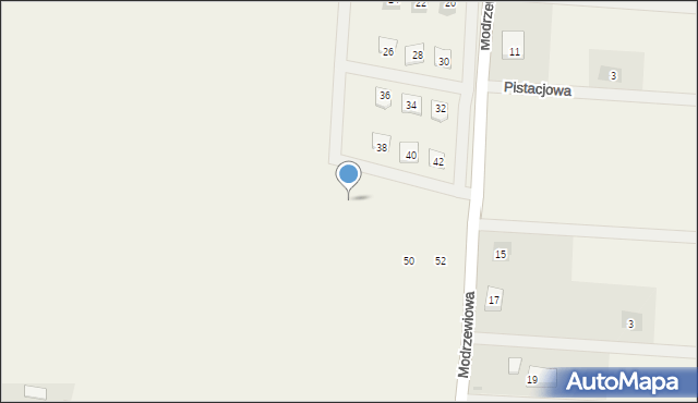 Żychlin, Modrzewiowa, 46, mapa Żychlin