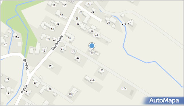 Groń, Muchówka, 37, mapa Groń
