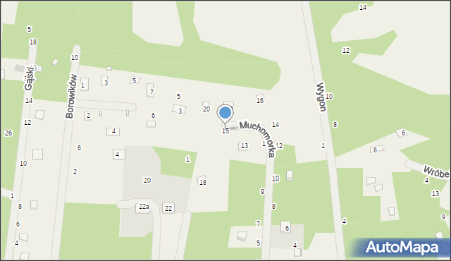 Iły, Muchomorka, 15, mapa Iły