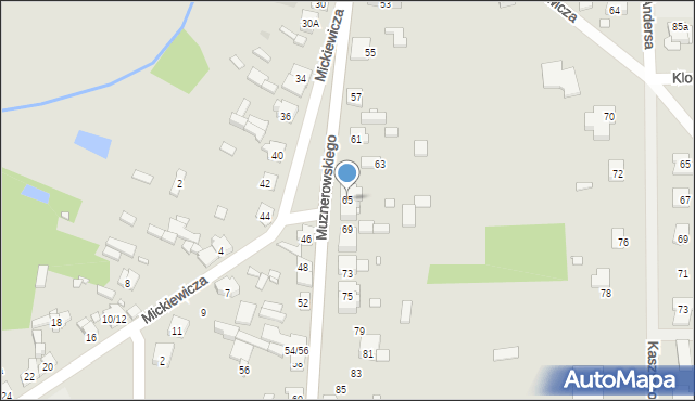 Krzepice, Muznerowskiego Stanisław, ks., 65, mapa Krzepice