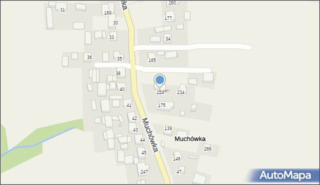 Muchówka, Muchówka, 224, mapa Muchówka