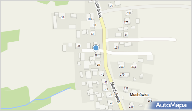 Muchówka, Muchówka, 38, mapa Muchówka