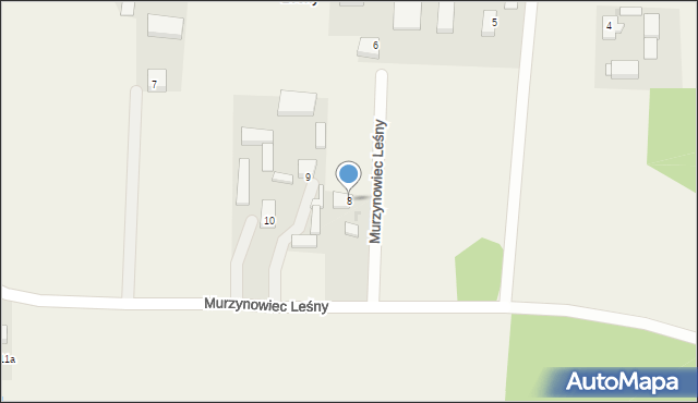 Murzynowiec Leśny, Murzynowiec Leśny, 8, mapa Murzynowiec Leśny