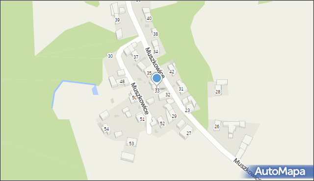 Muszkowice, Muszkowice, 33, mapa Muszkowice