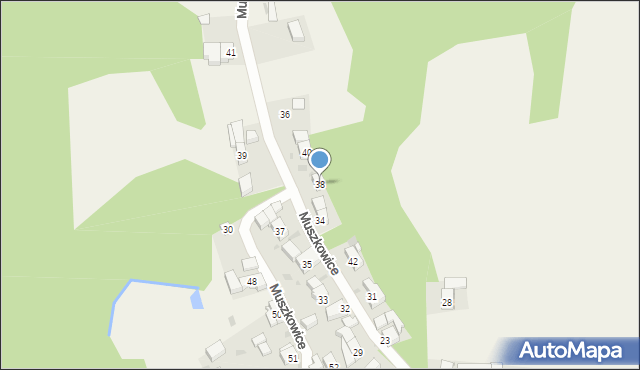 Muszkowice, Muszkowice, 38, mapa Muszkowice