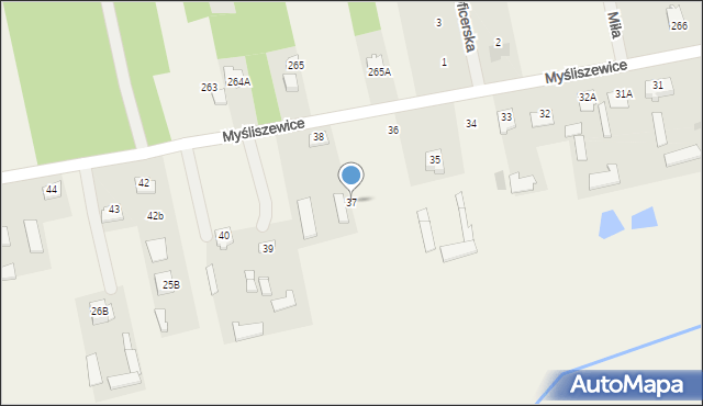 Myśliszewice, Myśliszewice, 37, mapa Myśliszewice