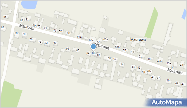 Mzurowa, Mzurowa, 61, mapa Mzurowa