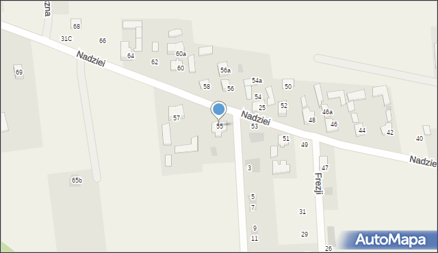 Boryszew, Nadziei, 55, mapa Boryszew