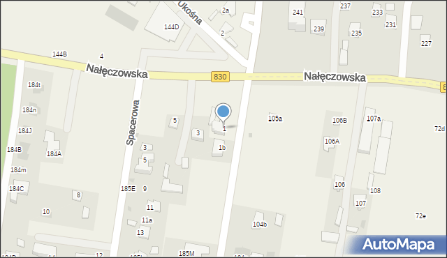 Dąbrowica, Nałęczowska, 1, mapa Dąbrowica