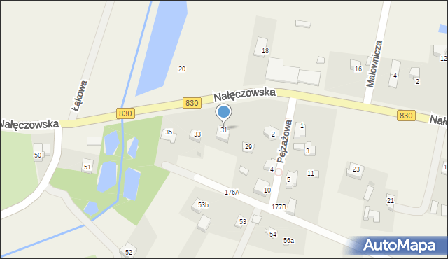 Dąbrowica, Nałęczowska, 31, mapa Dąbrowica