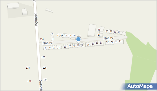 Janczewice, Natury, 30, mapa Janczewice