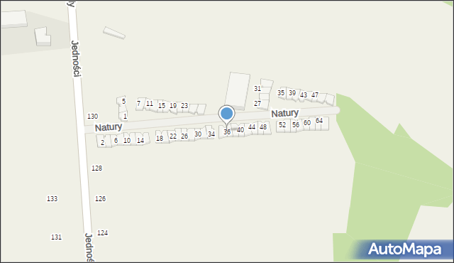 Janczewice, Natury, 36, mapa Janczewice