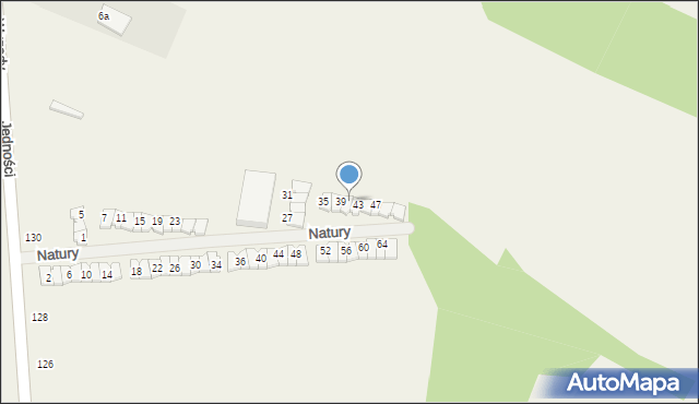 Janczewice, Natury, 41, mapa Janczewice