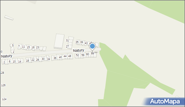 Janczewice, Natury, 64, mapa Janczewice