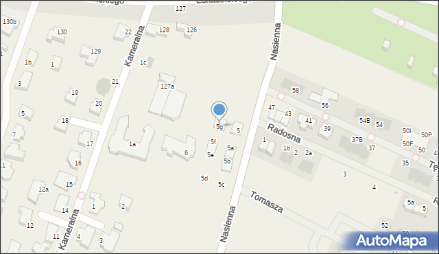 Mierzyn, Nasienna, 5g, mapa Mierzyn