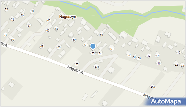 Nagoszyn, Nagoszyn, 55, mapa Nagoszyn