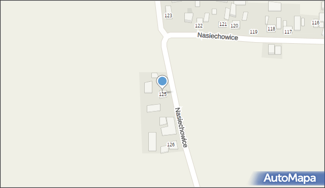 Nasiechowice, Nasiechowice, 125, mapa Nasiechowice