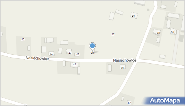 Nasiechowice, Nasiechowice, 45, mapa Nasiechowice