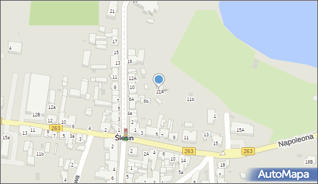 Ślesin, Napoleona, 11A, mapa Ślesin