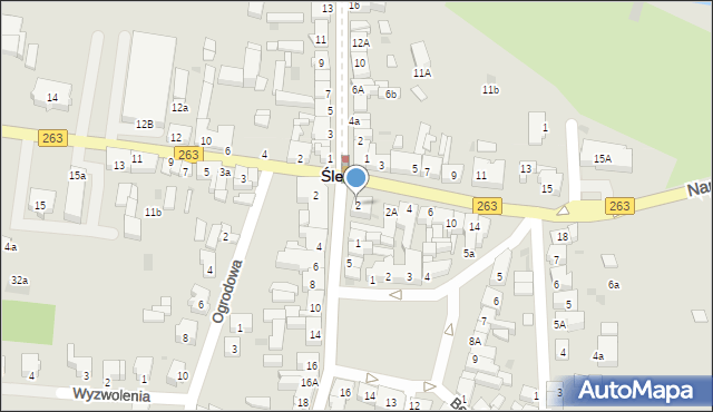 Ślesin, Napoleona, 2, mapa Ślesin