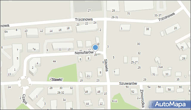 Toruń, Nenufarów, 10, mapa Torunia