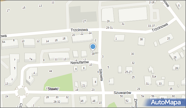 Toruń, Nenufarów, 19, mapa Torunia