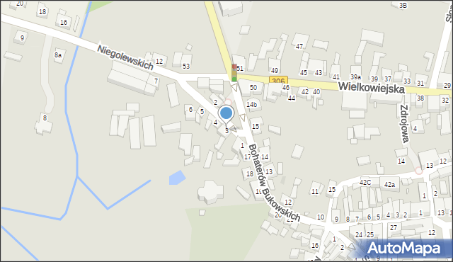 Buk, Niegolewskich Andrzeja i Władysława, 3, mapa Buk