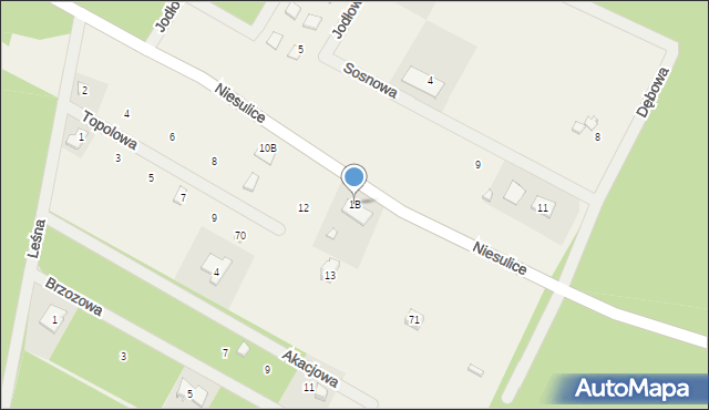 Niesulice, Niesulice, 1B, mapa Niesulice